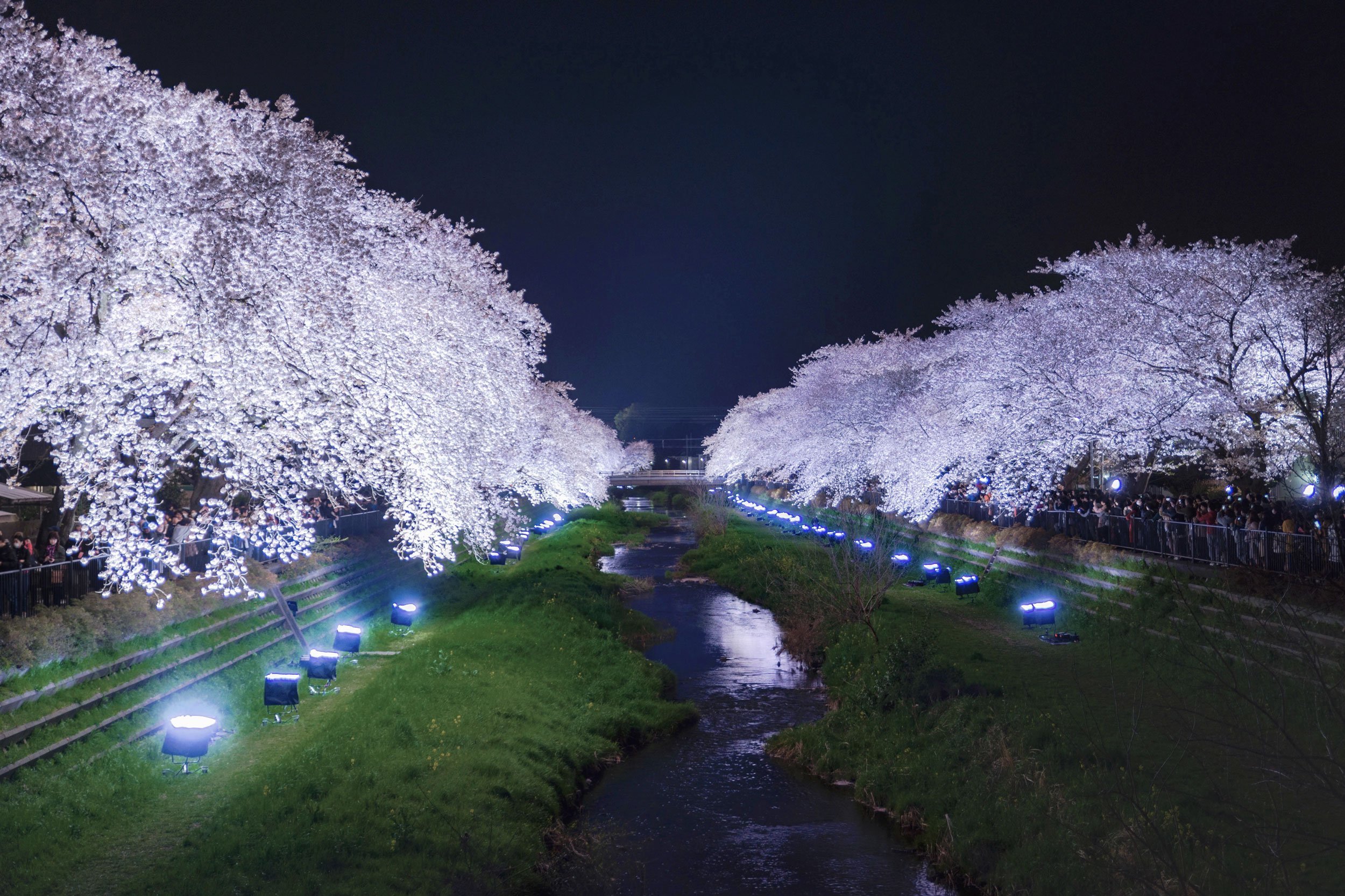 🏞️ 노가와 공원 (노가와코엔) 이미지 10